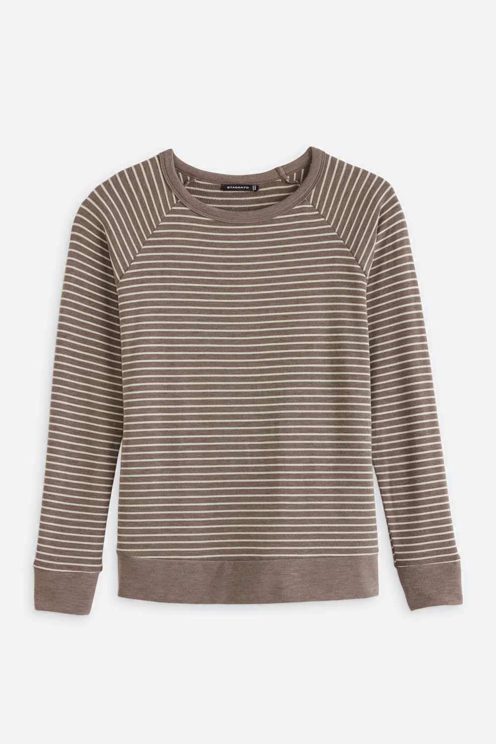 Dasher Raglan Sleeve Knit Top