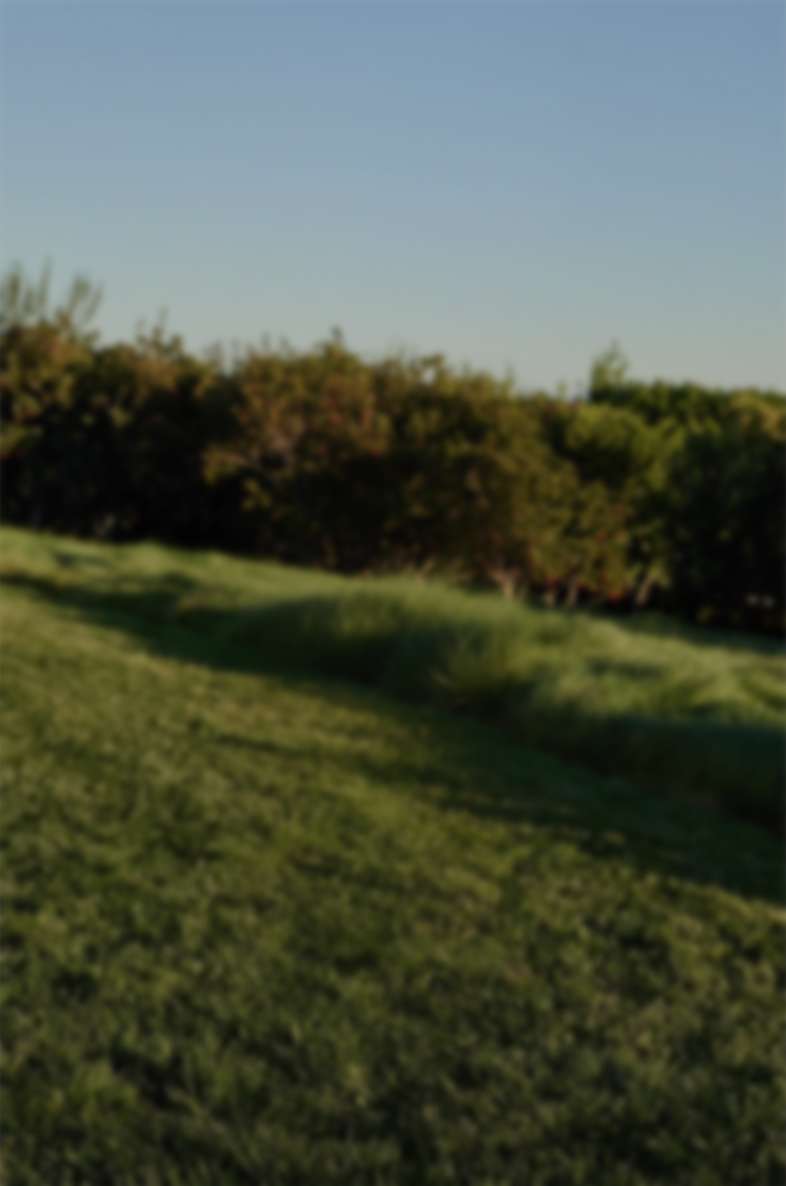 Woman standing outside in a sunny yard